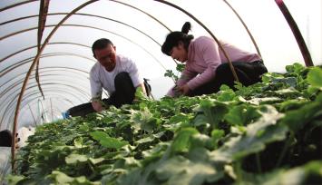 连云港市商务预报