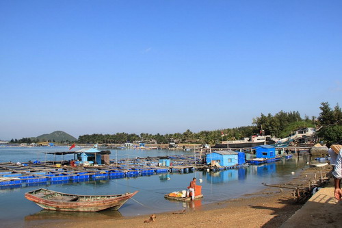 陵水县商务预报